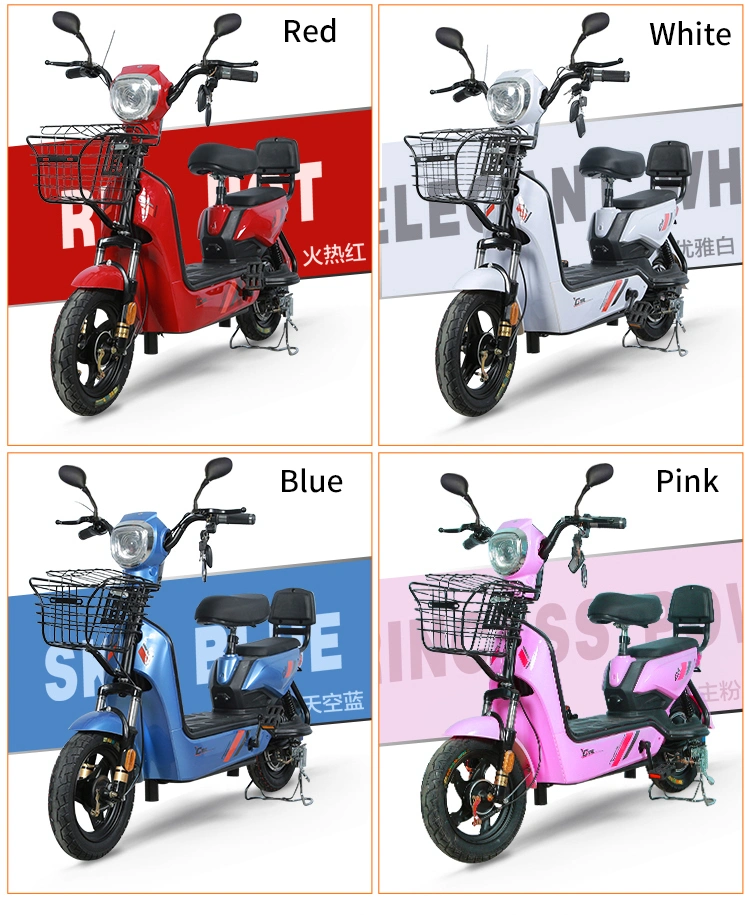 2 Wheel Electric Motorcycle Vehicles for Cargo Scooter Mountain Bike Electric Bicycle