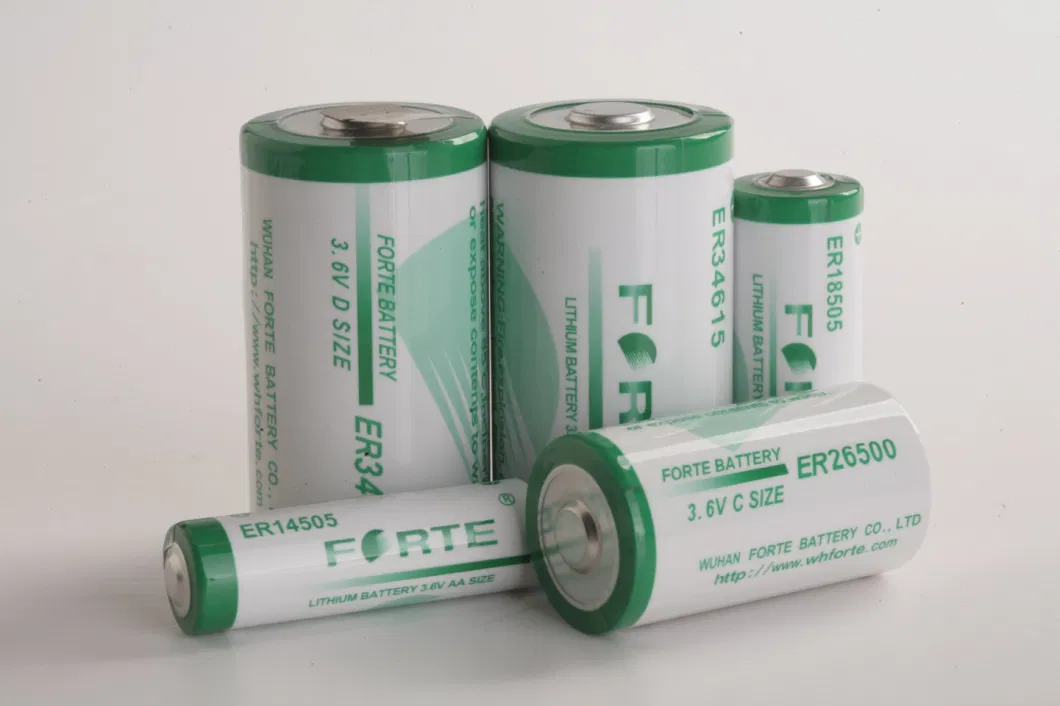 3.6V Disposable Cylindrical Non-Rechargeable Primary Lithium Battery Er14505 AA Industrial Battery