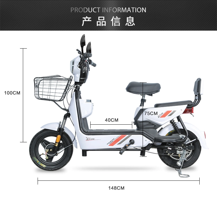 2 Wheel Electric Motorcycle Vehicles for Cargo Scooter Mountain Bike Electric Bicycle