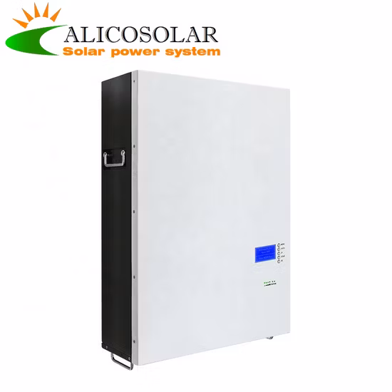 Home 24V Lithium Battery 12V Solar Battery Lithium Ion Battery Energy Storage Battery 48V LiFePO4 Battery Lithium Iron Phosphate Battery Li Ion Battery Li-ion
