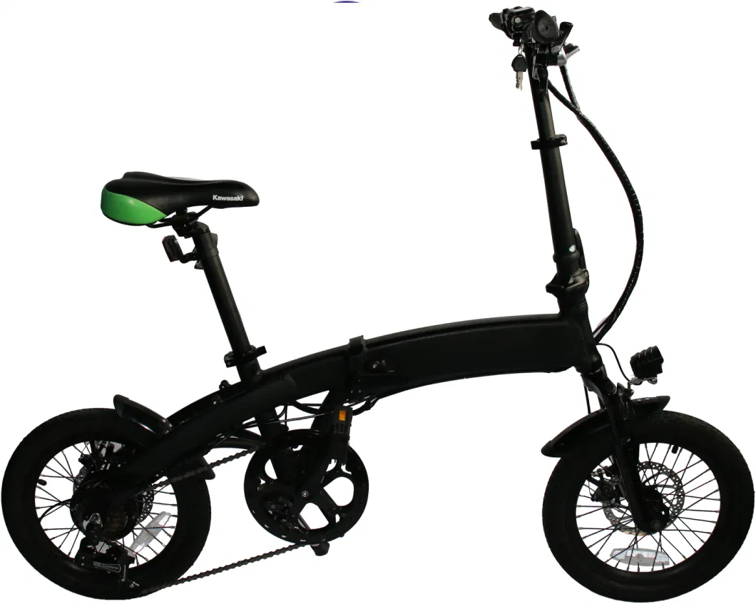 20inch Mountain Electric Bike Bicycle Electric Motorcyccle Vehicle Holding Two-Wheels with Xustomized Logo Shosk Absorption 36V 7.8ah Battery Lithium