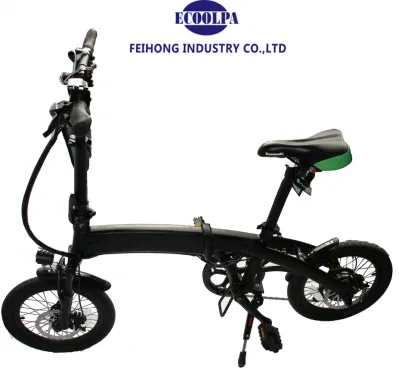 20inch Mountain Electric Bike Bicycle Electric Motorcyccle Vehicle Holding Two