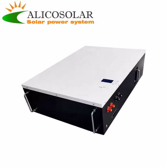 Home 24V Lithium Battery 12V Solar Battery Lithium Ion Battery Energy Storage Battery 48V LiFePO4 Battery Lithium Iron Phosphate Battery Li Ion Battery Li