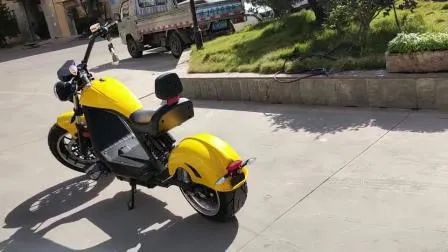 OEM CKD SKD Electric Vehicle with Two Wheels Electric Motorcycle Electric Motos