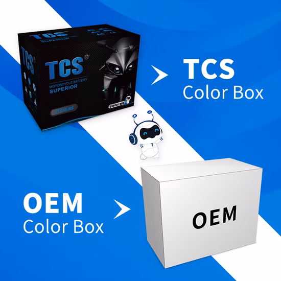 12N2.5 No Acid Handling Highest Cold Cranking Amp Motorcycle Battery For Tricycle