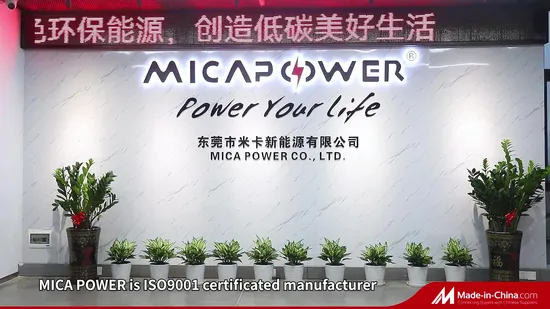 15 Years CE Un38.3 12V 200ah Lithium LiFePO4 Battery Pack Lead Acid Battery Replacement 12.8V 200ah 2.56kwh Golf Cart Yacht Boat RV Solar Energy Storage Battery 