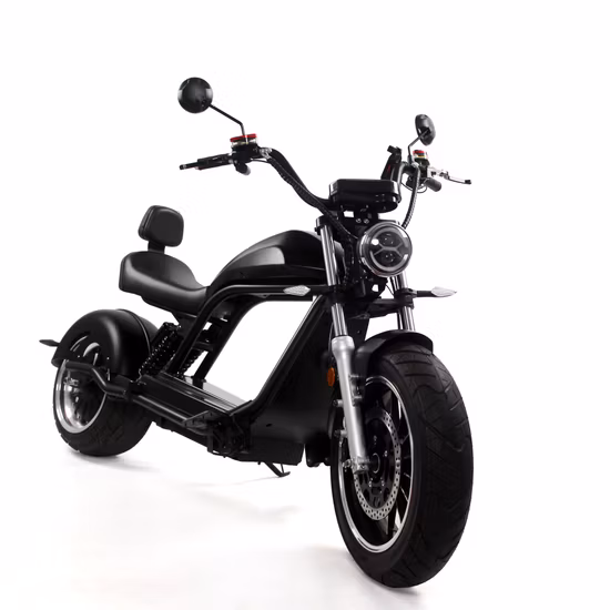 OEM CKD SKD Electric Vehicle with Two Wheels Electric Motorcycle Electric Motos