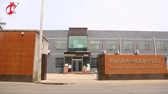 China Manufacturing Factory Price/ Large Four